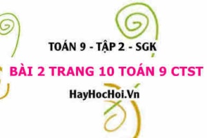 Bài 2 trang 10 Toán 9 tập 2 Chân trời sáng tạo